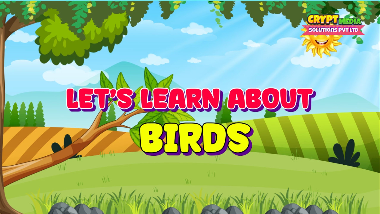 Birds