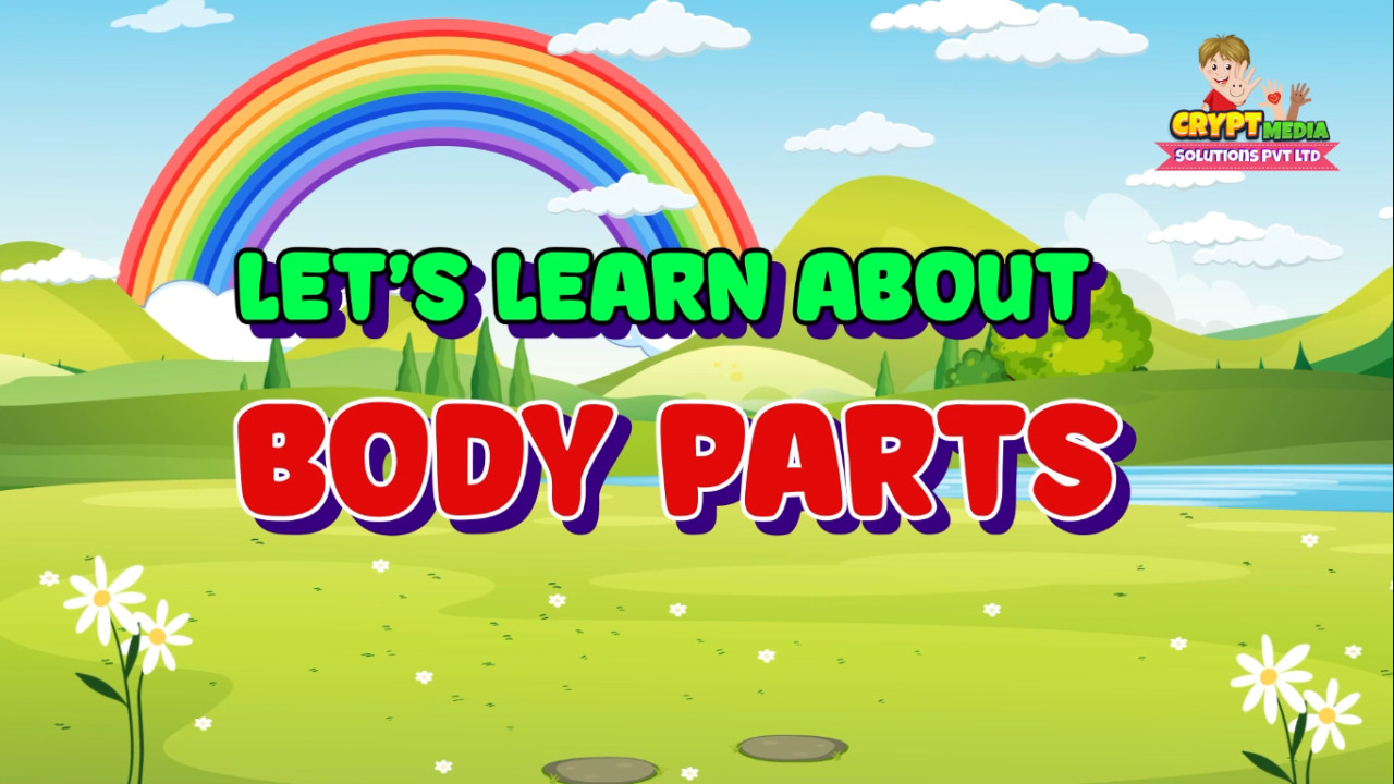 Body Parts