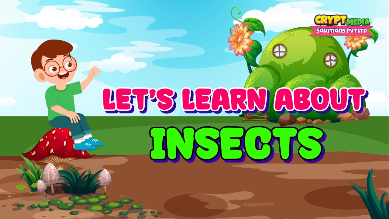 Insects