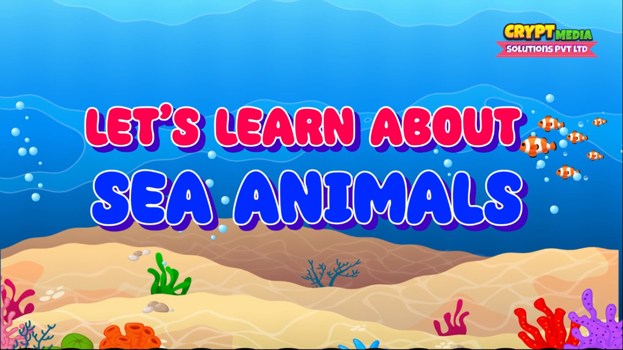 Sea Animals