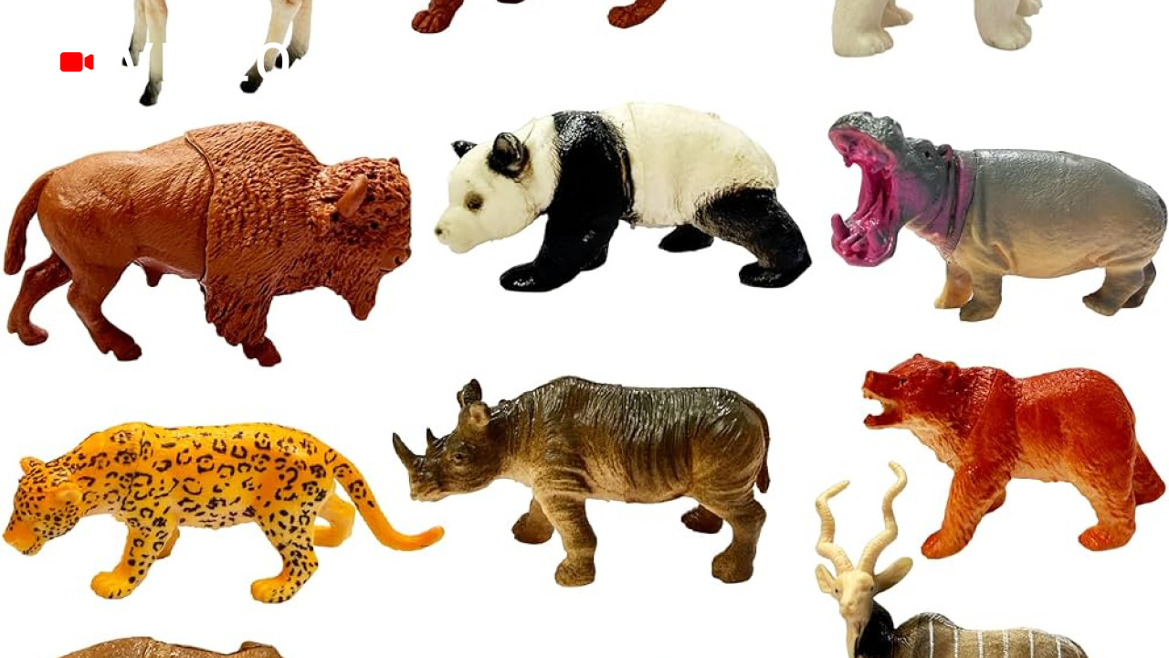 Learn About Animals
