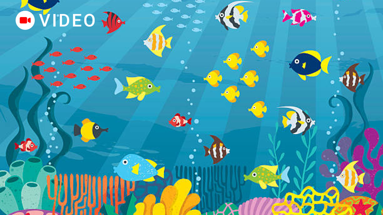 Learn about oceans