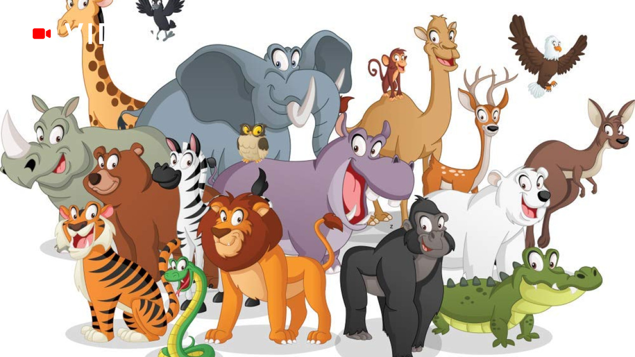 Birds & Animals
